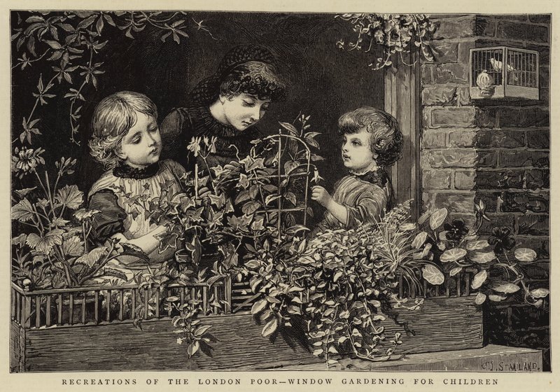 Recreaties van de Londense Armen, Raamtuinieren voor Kinderen door Charles J. Staniland