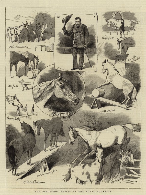 De Broncho Paarden in het Royal Aquarium door Charles Burton