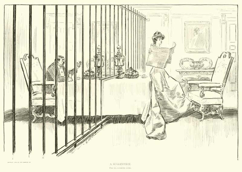 Illustratie voor De Sociale Ladder door Charles Dana Gibson