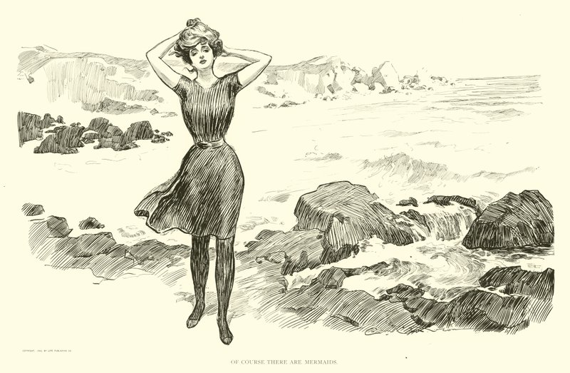 Illustratie voor De Sociale Ladder door Charles Dana Gibson