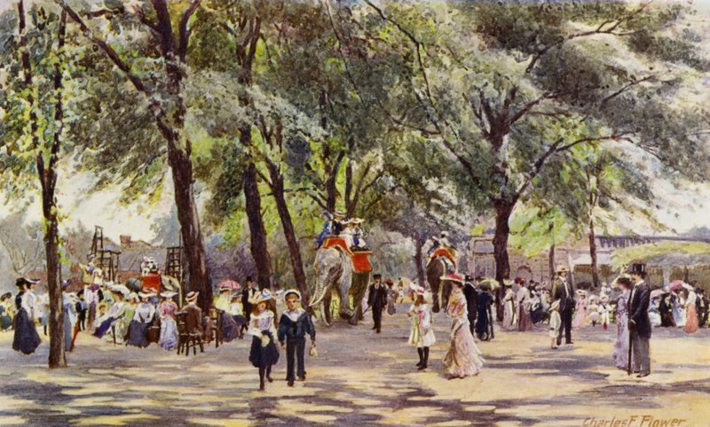 Londense Zoo: Brede Wandelweg, met Olifanten (kleur litho) door Charles Edwin Flower