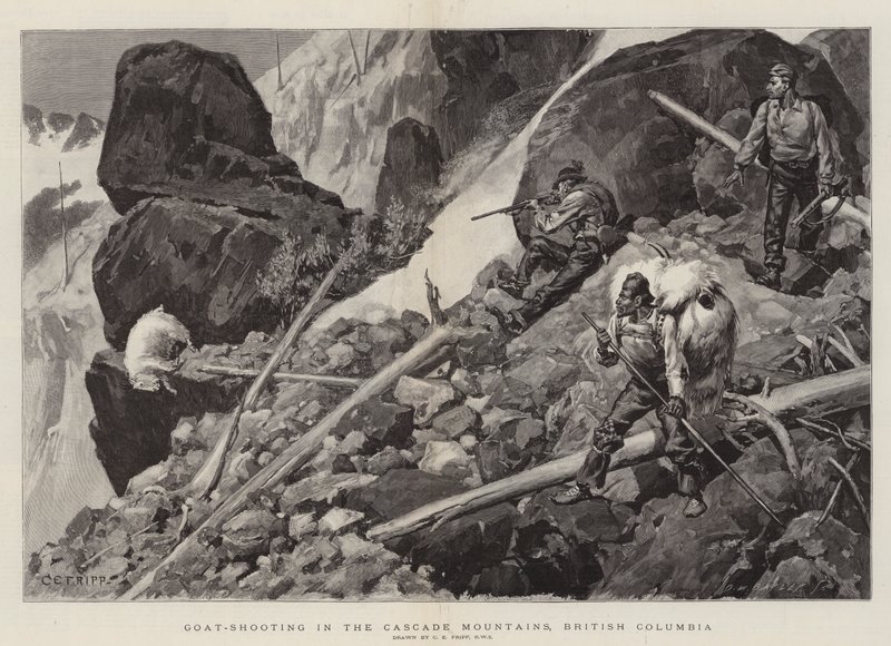 Geitenschieten in de Cascade Mountains, Brits-Columbia door Charles Edwin Fripp