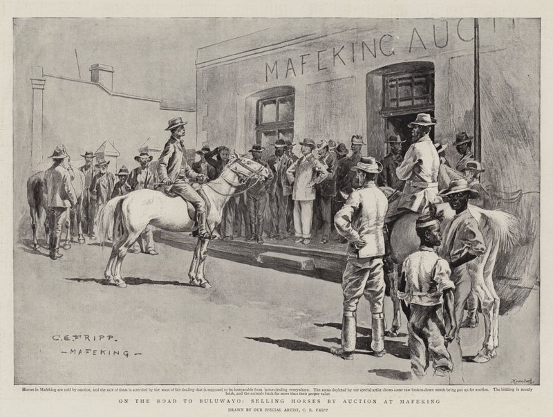Op weg naar Bulawayo, verkoop van paarden bij veiling in Mafeking door Charles Edwin Fripp
