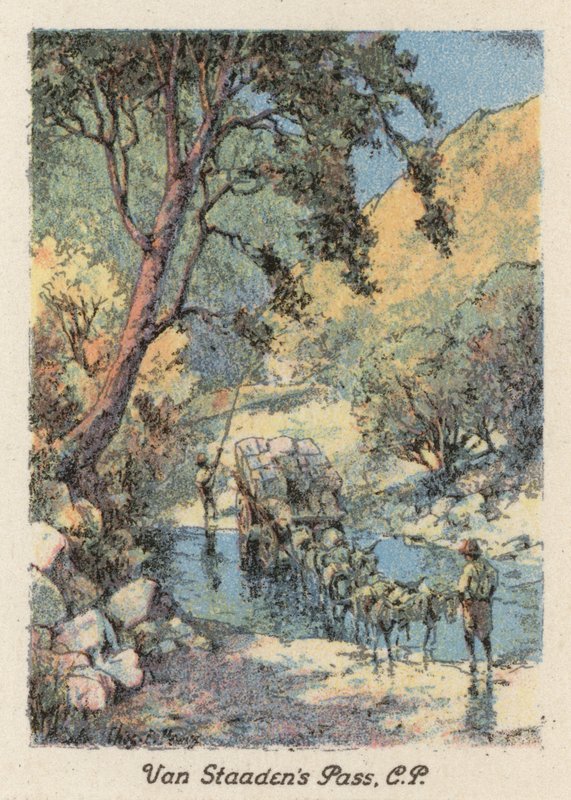 Zuid-Afrika: Van Staaden