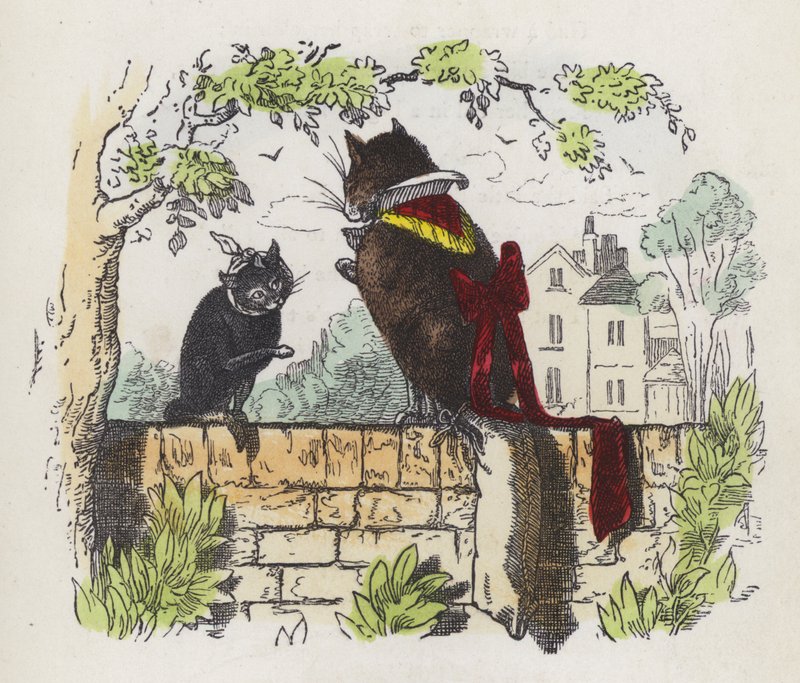 Twee katten op een tuinmuur door Charles Henry (after) Bennett