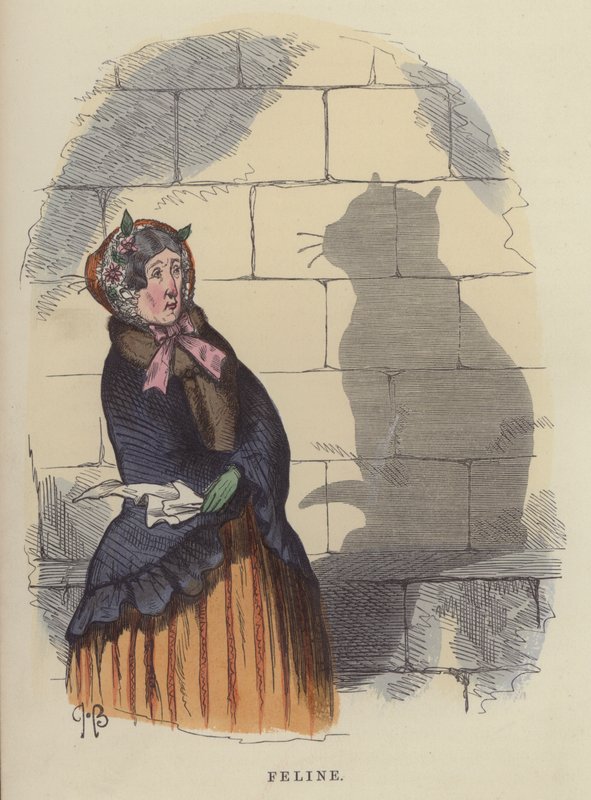 Feline (gekleurde gravure) door Charles Henry Bennett