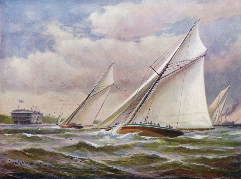 Witte Vleugels door Charles John de Lacy