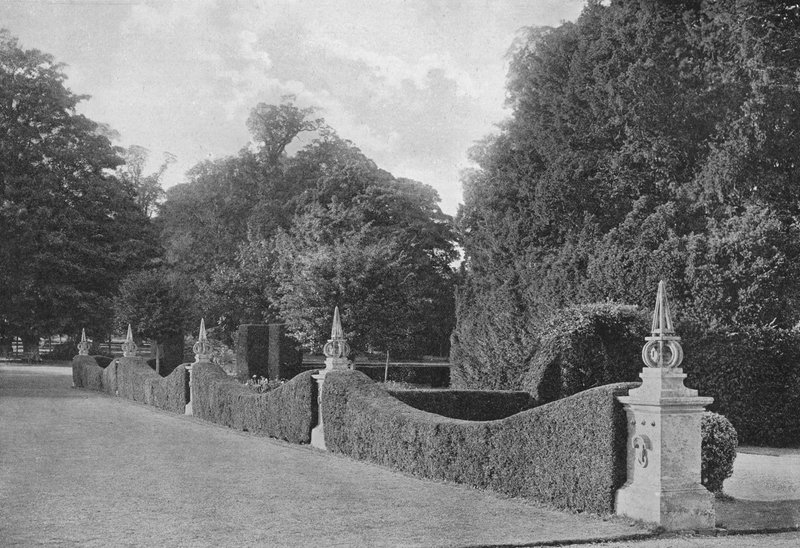 Verdeeld door Taxus door Charles Latham