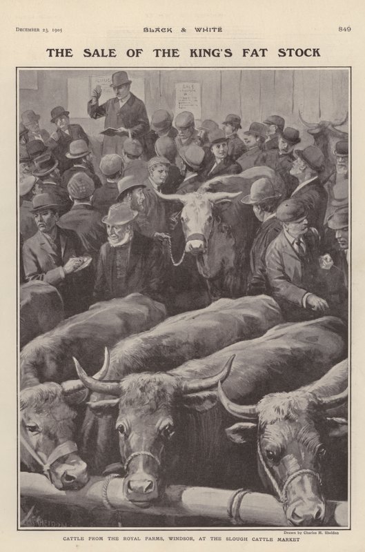 Vee van de koninklijke boerderijen in Windsor te koop op de veemarkt van Slough, Berkshire door Charles Mills (after) Sheldon