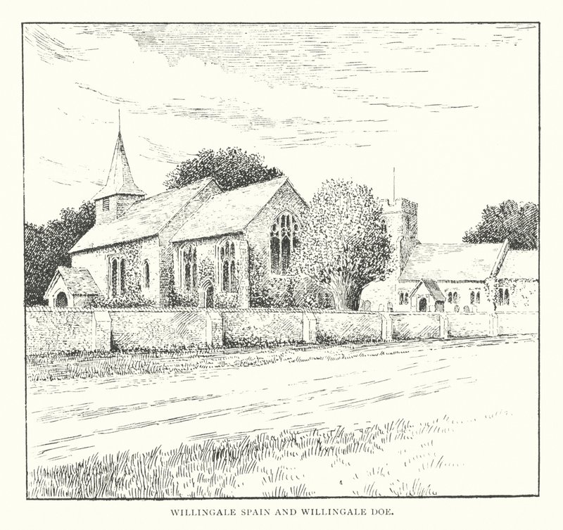 Willingale Spain en Willingale Doe door Duncan Moul