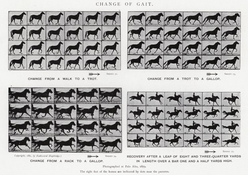 Verandering van Gang door Eadweard Muybridge