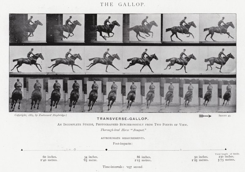Eadweard Muybridge: De galop (zwart-wit foto) door Eadweard Muybridge
