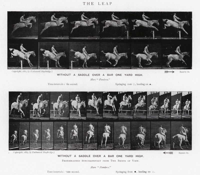 Eadweard Muybridge: De sprong (zwart-wit foto) door Eadweard Muybridge