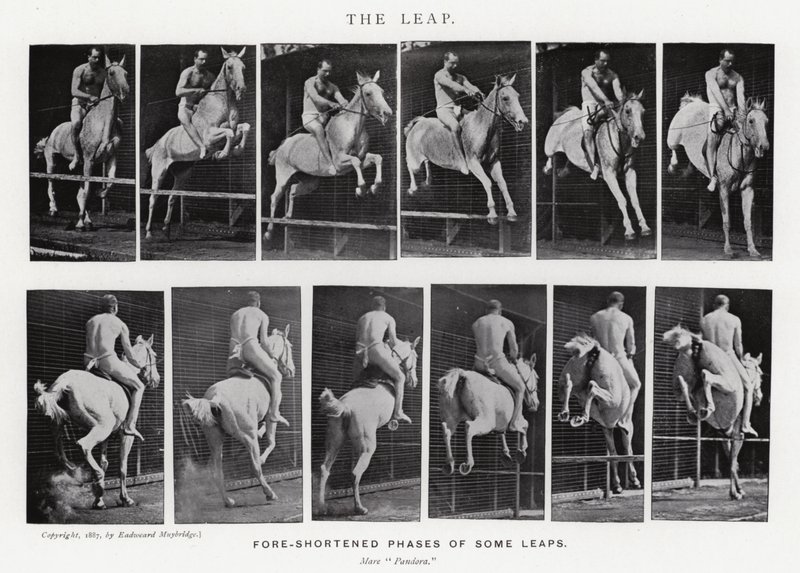 Eadweard Muybridge: De sprong (zw/w foto) door Eadweard Muybridge