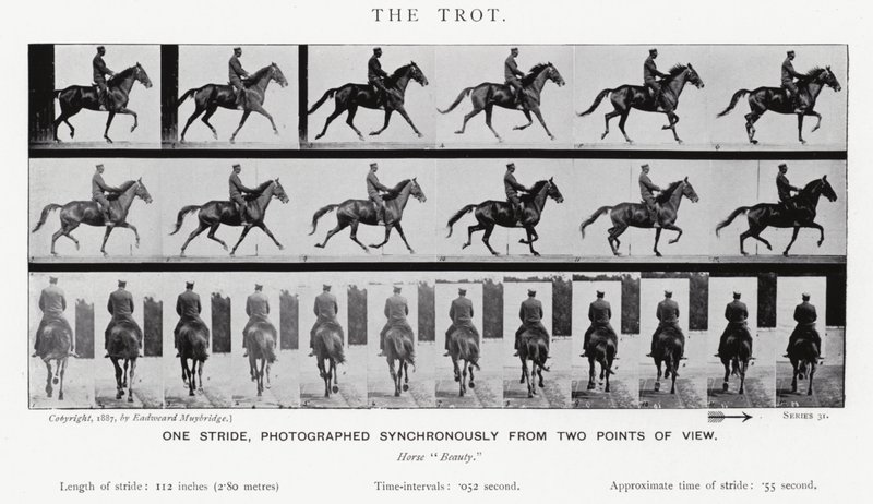 Eadweard Muybridge: De draf door Eadweard Muybridge