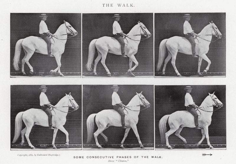 Eadweard Muybridge: De wandeling (zwart-wit foto) door Eadweard Muybridge