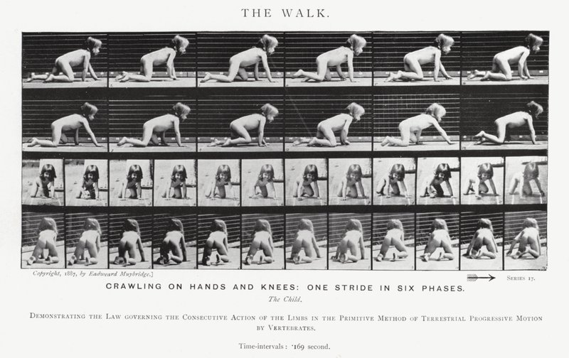 Eadweard Muybridge: De wandeling (zwart-wit foto) door Eadweard Muybridge