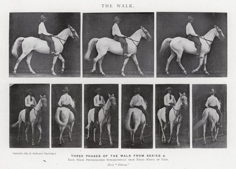 Eadweard Muybridge: De wandeling (zw/w foto) door Eadweard Muybridge