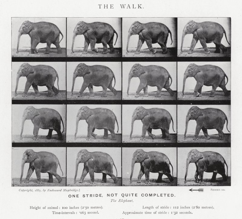 De wandeling door Eadweard Muybridge
