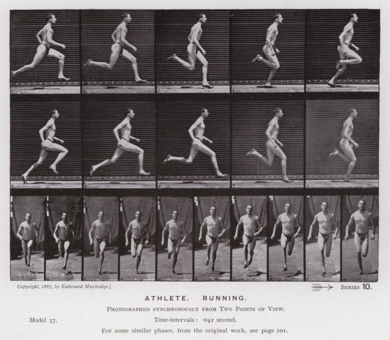 De menselijke figuur in beweging: Atleet, rennend door Eadweard Muybridge