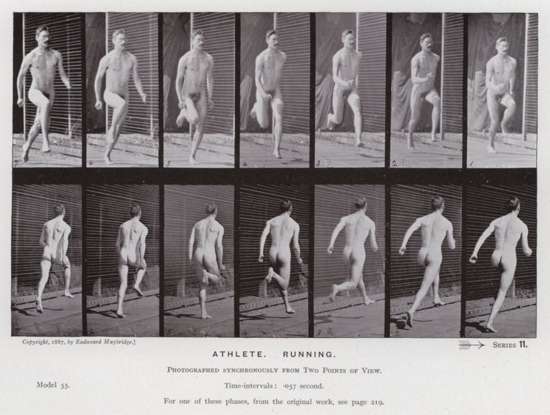De menselijke figuur in beweging: Atleet, rennend door Eadweard Muybridge