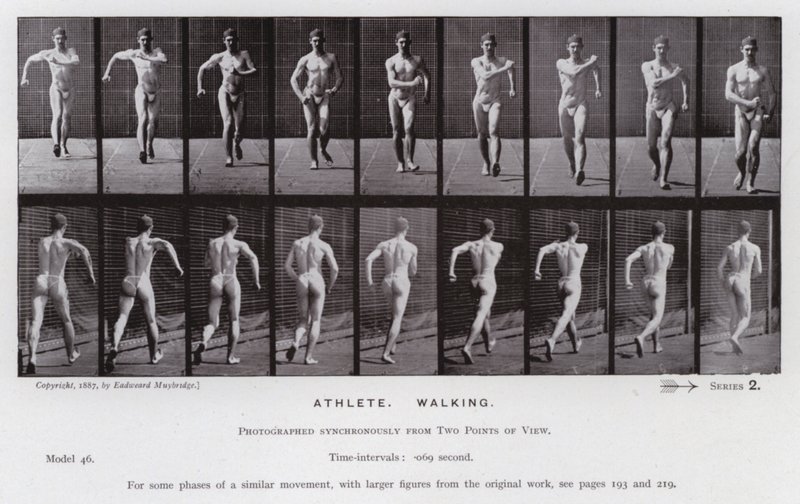 Het Menselijk Lichaam in Beweging: Atleet, Wandelen door Eadweard Muybridge
