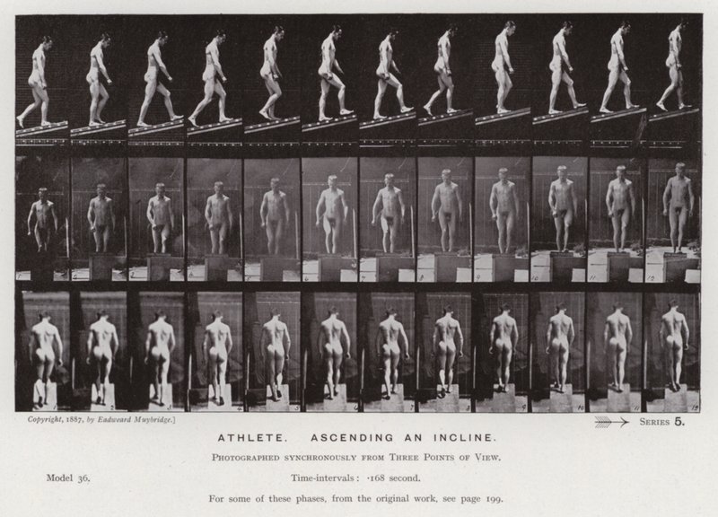 Het Menselijk Lichaam in Beweging: Atleet, een helling opgaand door Eadweard Muybridge