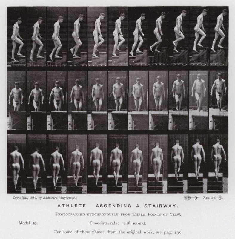De menselijke figuur in beweging: Atleet, een trap oplopen door Eadweard Muybridge