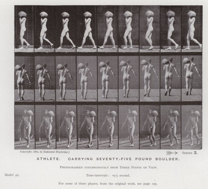 Het menselijk lichaam in beweging: Atleet, draagt een vijfenzeventig pond zware kei (zwart-wit foto) door Eadweard Muybridge