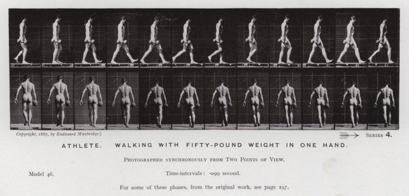 De menselijke figuur in beweging: Atleet, wandelend met vijftig pond gewicht in één hand door Eadweard Muybridge