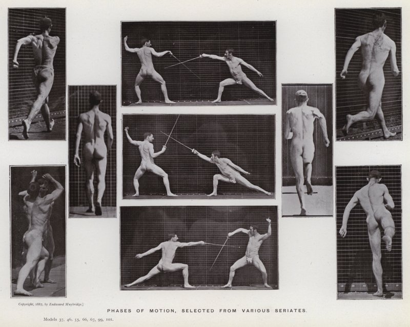 De menselijke figuur in beweging: Fasen van beweging, geselecteerd uit verschillende series door Eadweard Muybridge
