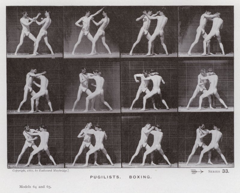 De menselijke figuur in beweging: Boksers, boksen door Eadweard Muybridge