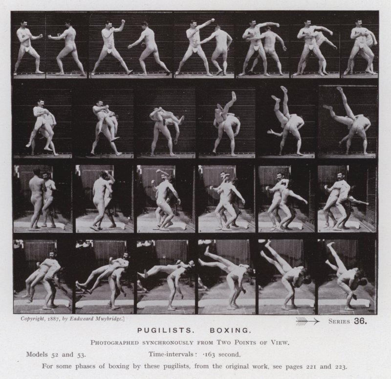 Het Menselijk Lichaam in Beweging: Pugilisten, Boksen door Eadweard Muybridge