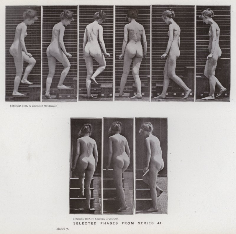 Het menselijk lichaam in beweging: Geselecteerde fasen uit serie 41 (zwart-wit foto) door Eadweard Muybridge