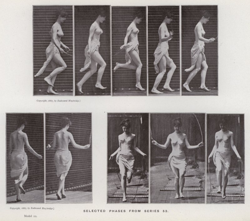 De menselijke figuur in beweging: Geselecteerde fasen uit serie 53 door Eadweard Muybridge