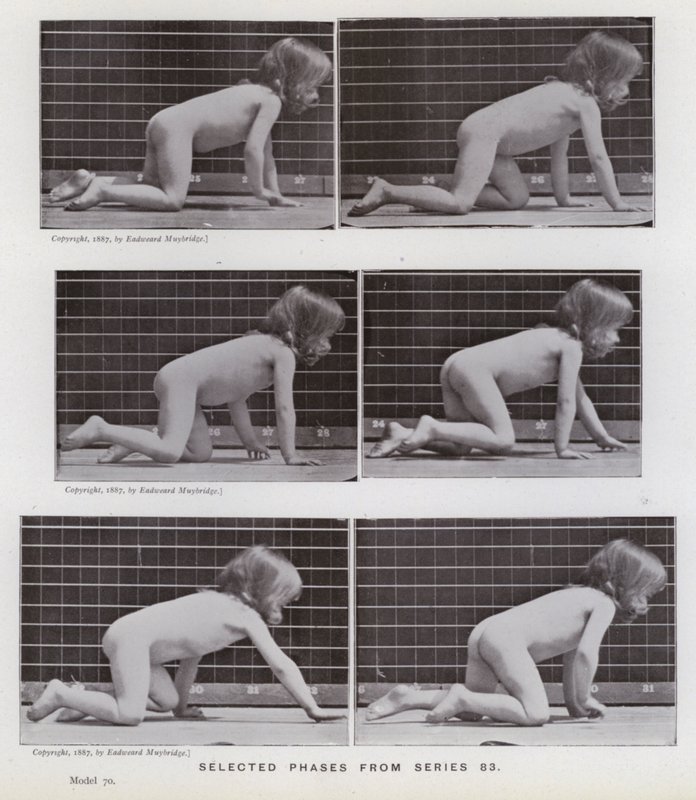 De menselijke figuur in beweging: Geselecteerde fasen uit serie 83 door Eadweard Muybridge