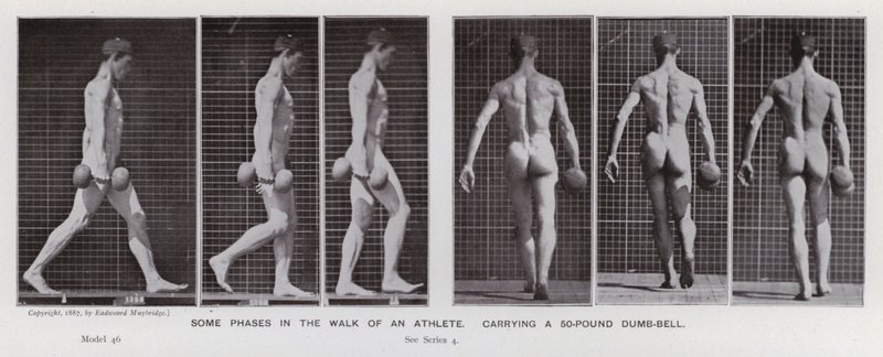 De menselijke figuur in beweging: Enkele fasen in de wandeling van een atleet, met een halter van 50 pond door Eadweard Muybridge