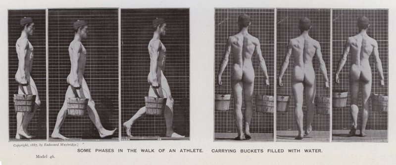 De menselijke figuur in beweging: Enkele fasen in de wandeling van een atleet, met emmers gevuld met water door Eadweard Muybridge