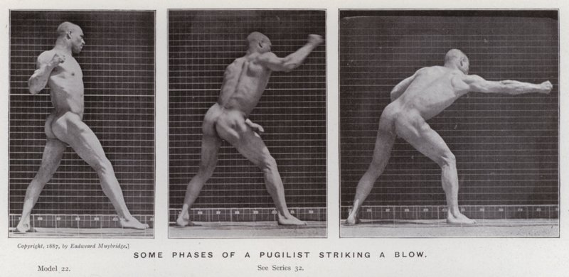 De menselijke figuur in beweging: Enkele fasen van een bokser die een slag toebrengt door Eadweard Muybridge