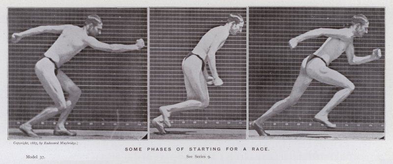 Het menselijk lichaam in beweging: Enkele fasen van het starten van een race (zwart-wit foto) door Eadweard Muybridge