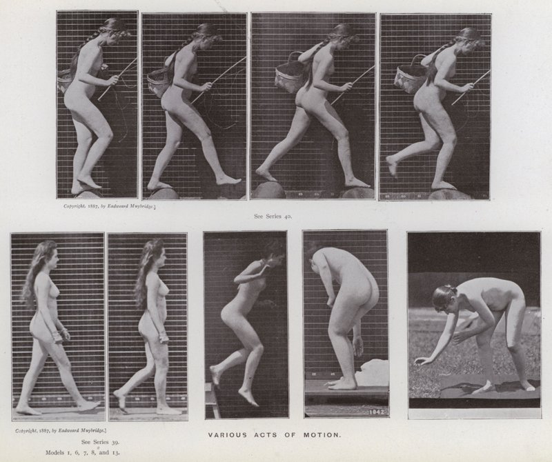 De menselijke figuur in beweging: Verschillende handelingen van beweging door Eadweard Muybridge
