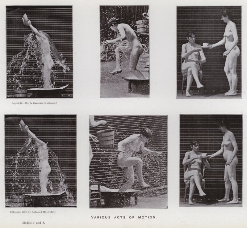 De menselijke figuur in beweging: Verschillende handelingen van beweging door Eadweard Muybridge