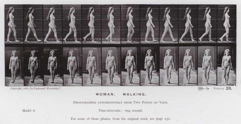 De menselijke figuur in beweging: Vrouw, wandelen door Eadweard Muybridge