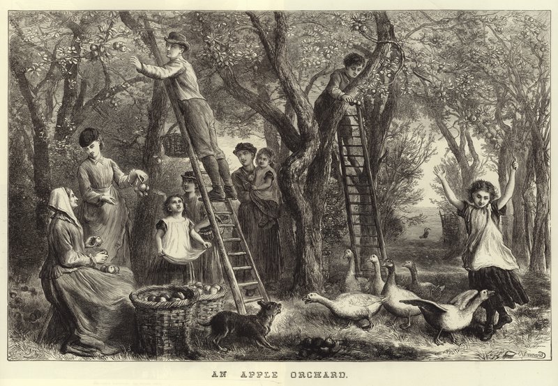 Een Appelboomgaard door Ebenezer Newman Downard