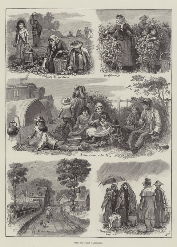 Met de fruitplukkers door Edmund Richard White