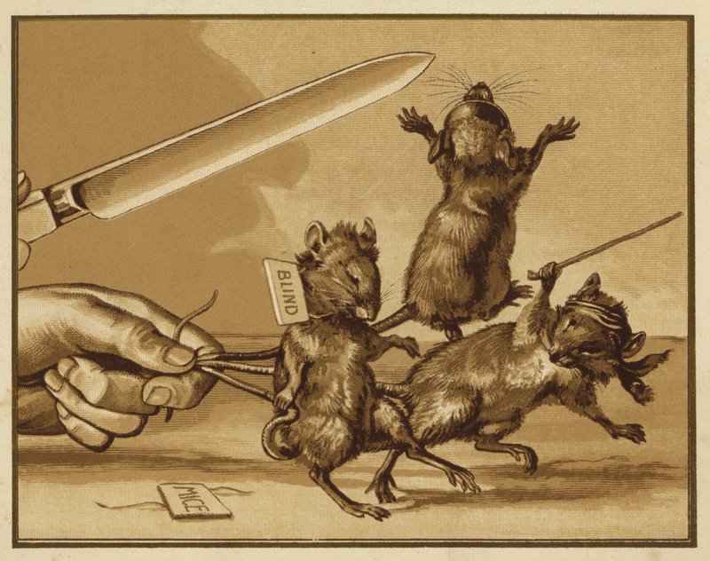 Illustratie voor Drie Blinde Muizen door Edmund G. Caldwell