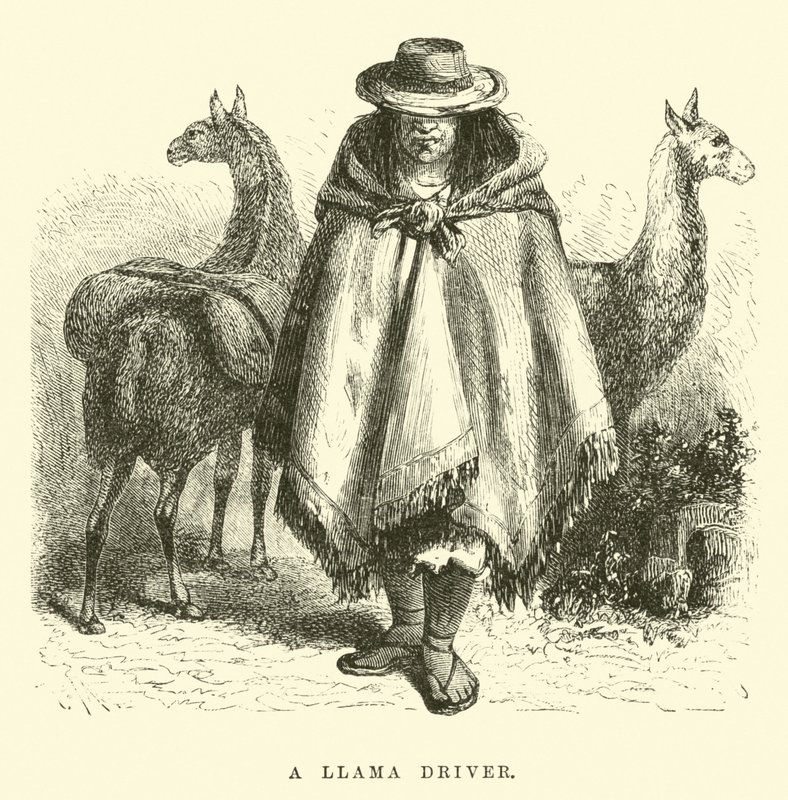 Een lama-drijver door Edouard Riou