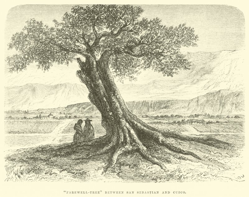 Afscheidsboom tussen San Sebastian en Cuzco door Edouard Riou
