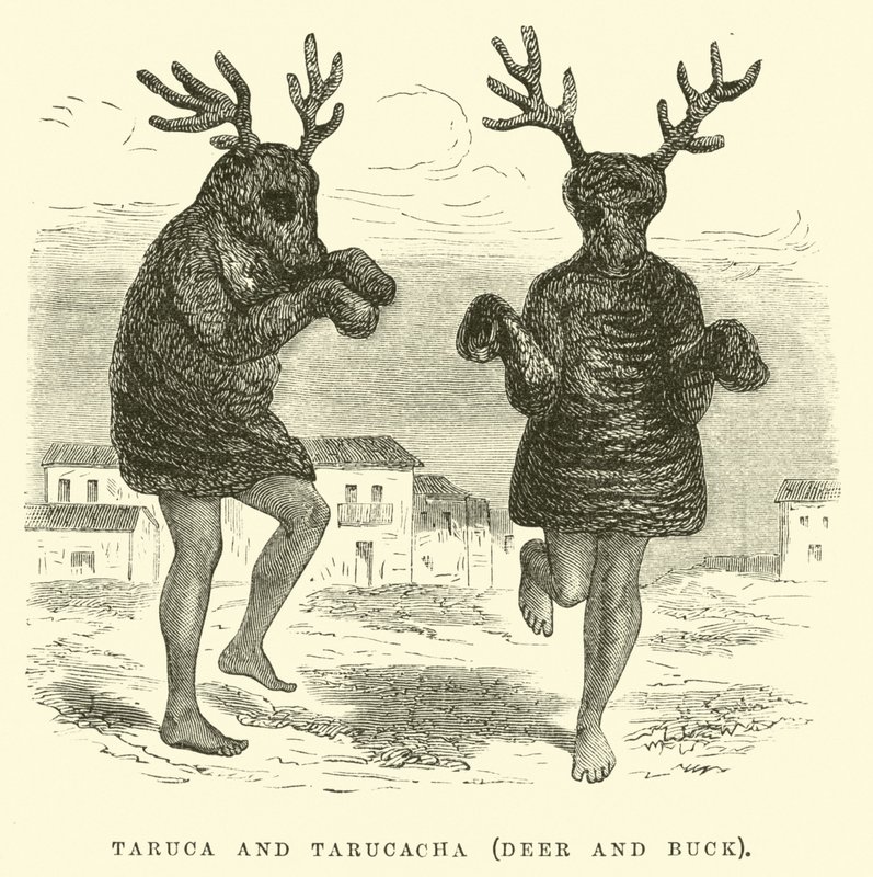Taruca en Tarucacha, hert en bok door Edouard Riou