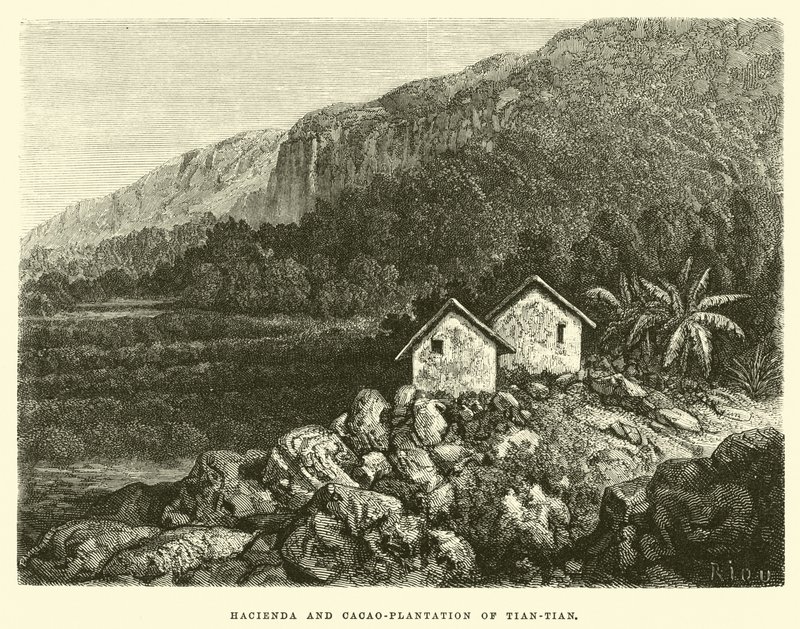 Hacienda en cacaoplantage van Tian-tian door Edouard Riou